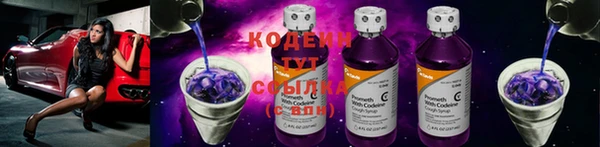 ешки Тында