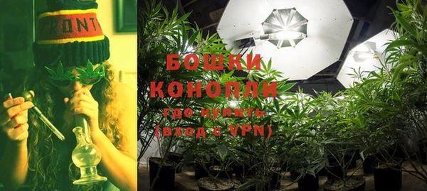 ешки Тында