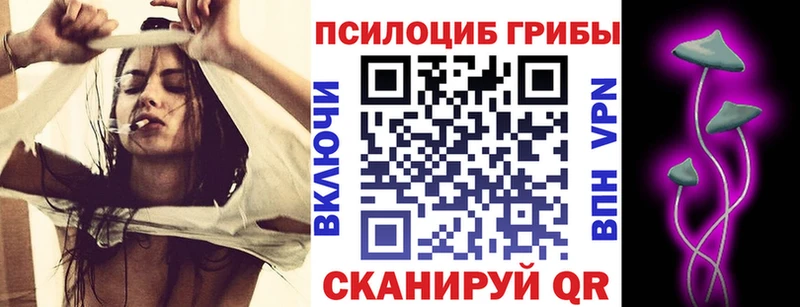 Галлюциногенные грибы Cubensis  Звенигово 